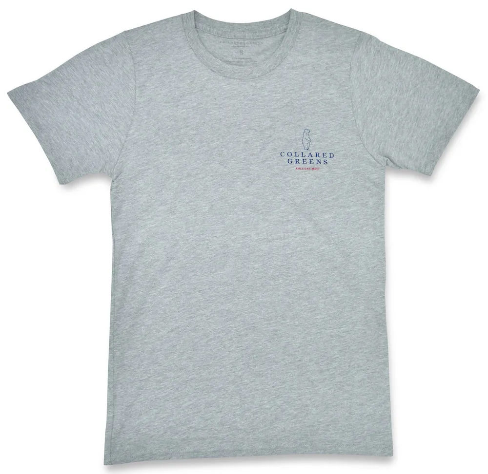 USA Striper: Short Sleeve T-Shirt - Gray